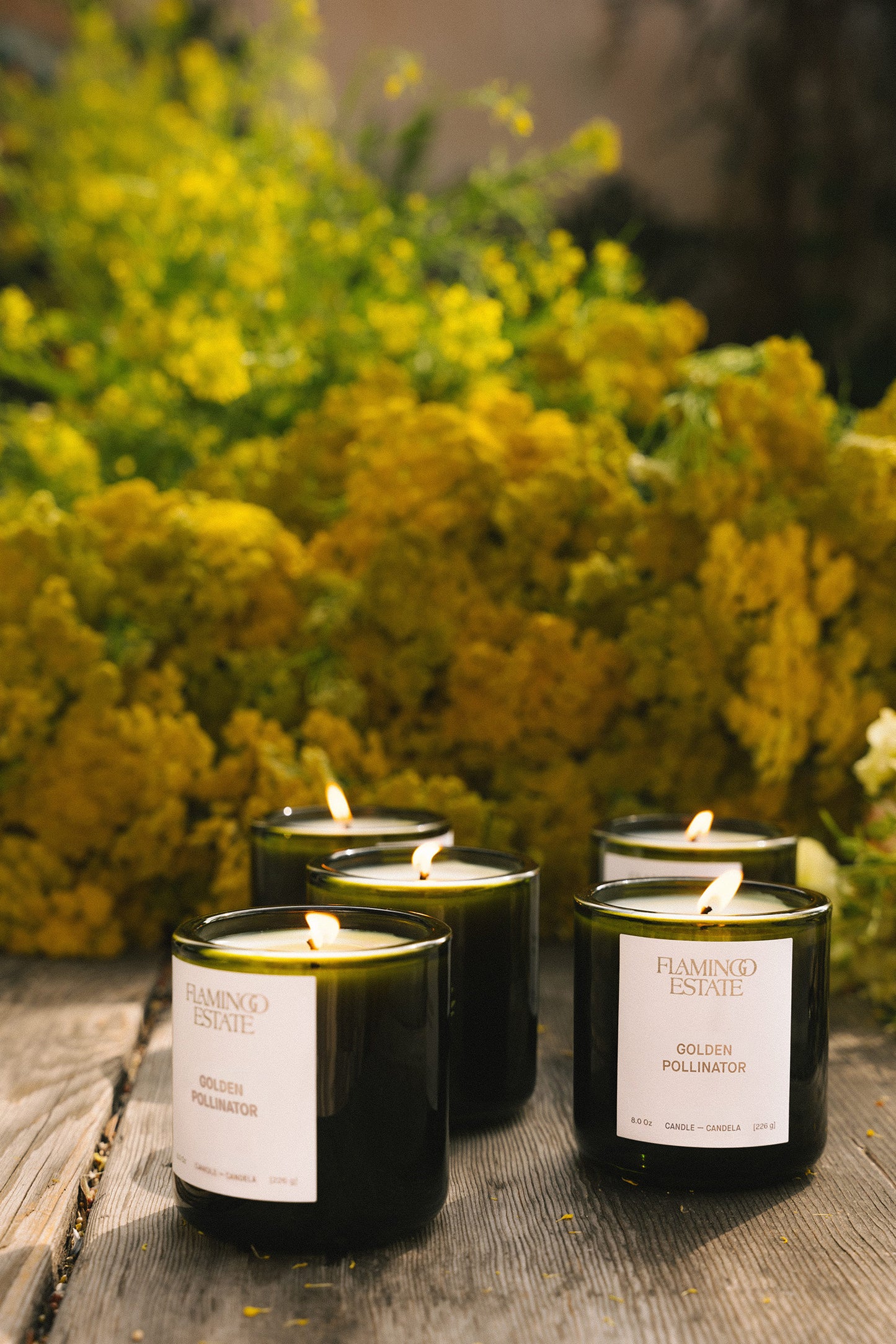 Golden Pollinator Scented Candle | Flamingo Estate