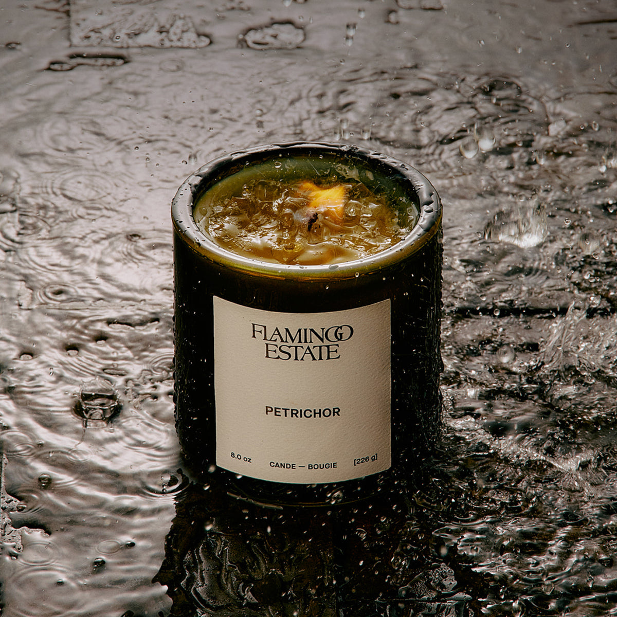 Petrichor Scented Candle | Flamingo Estate