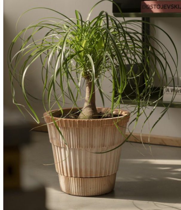 Bergs Potter Atlas Pot