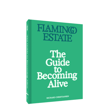 Guide to Becoming Alive  | Flamingo Estate