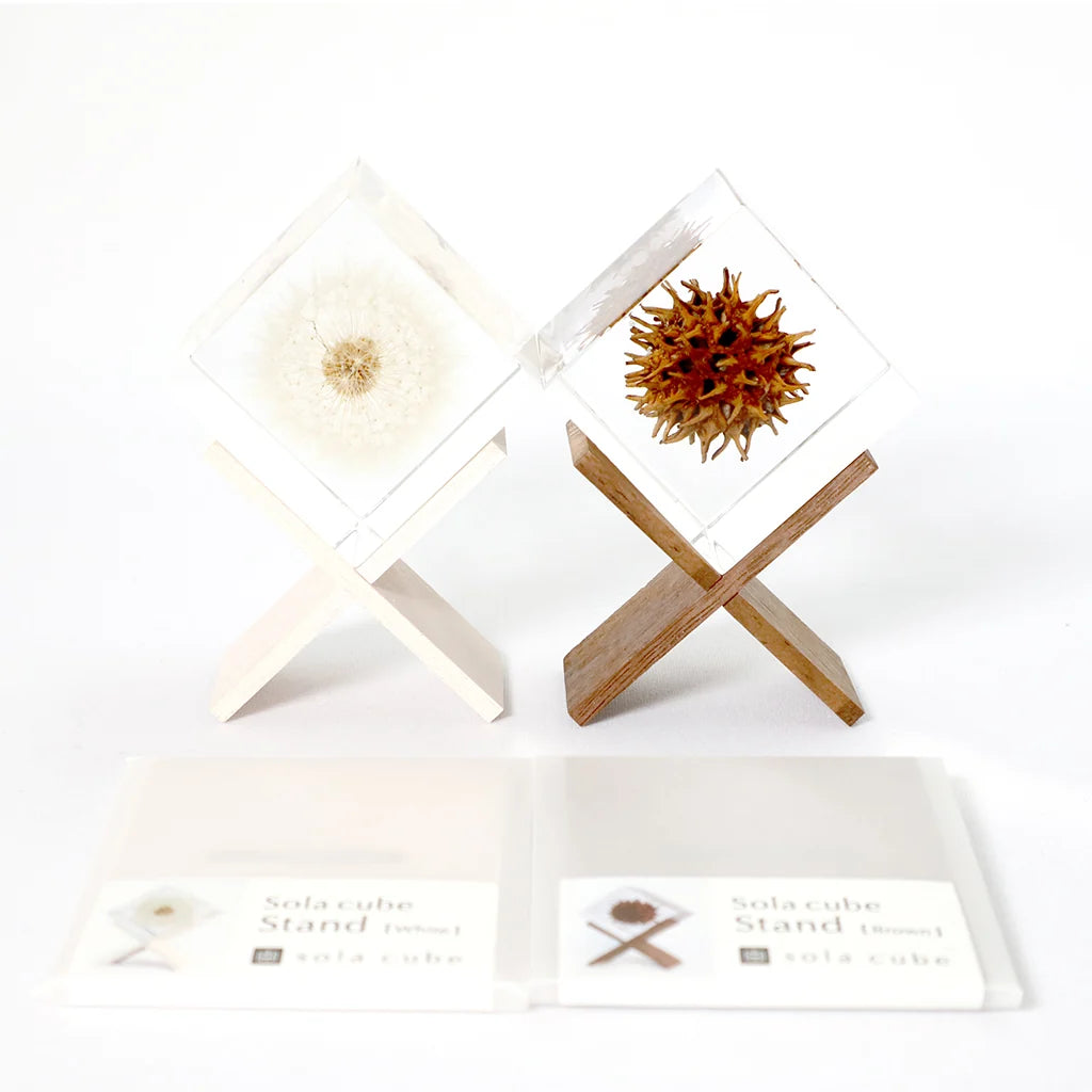 Sola Cube Stand
