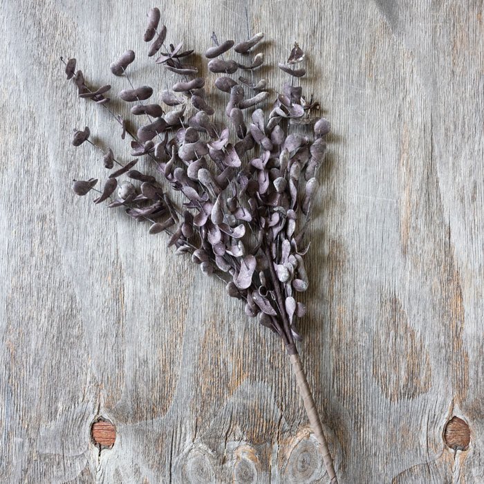 Artificial Eucalyptus Plum | Abigail Ahearn