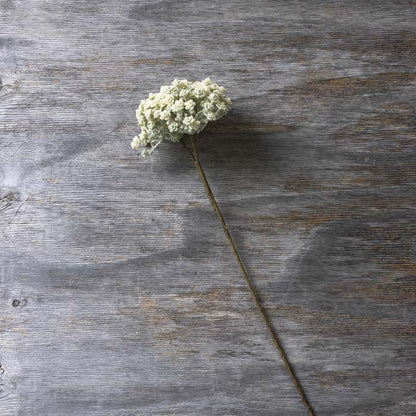 Yarrow Stem Cream  | Abigail Ahern