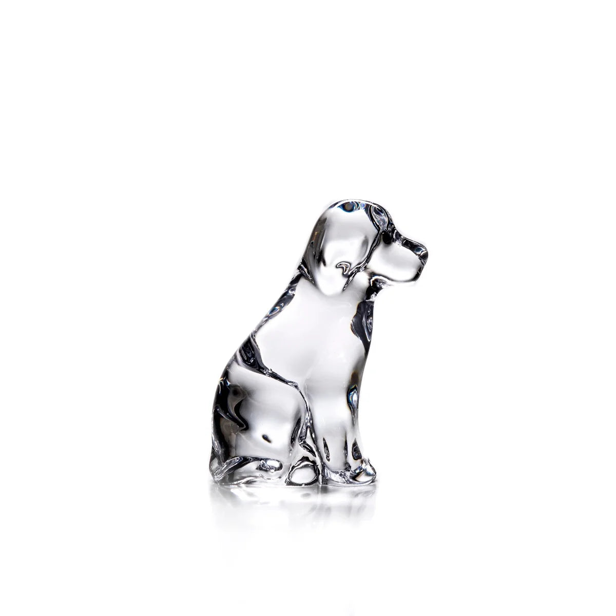 Glass Dog | Simon Pearce
