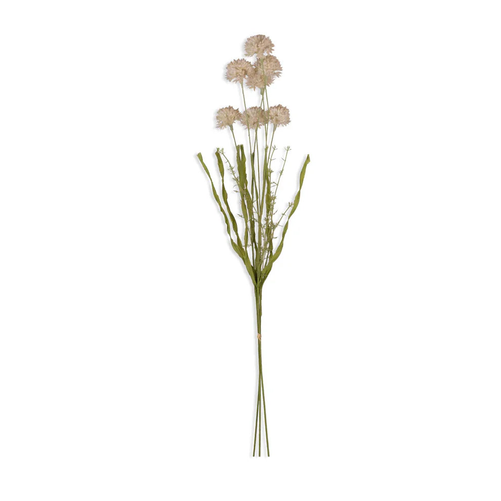 Melaleuca Cream Stem | Abigail Ahearn