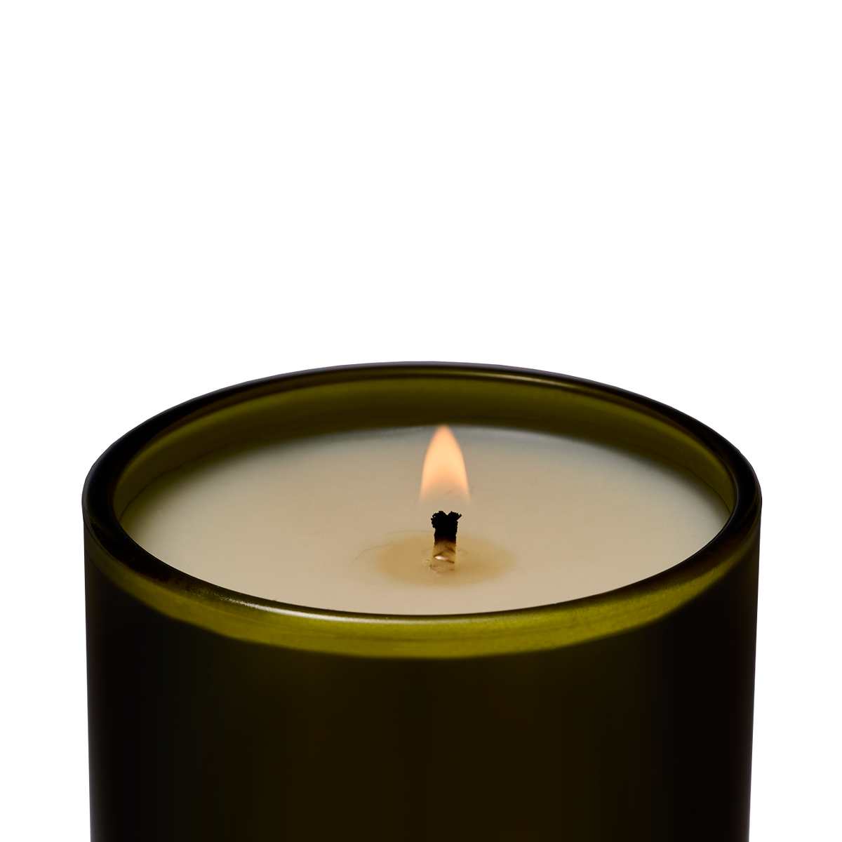 Leather Appointment Scented Candle | Flamingo Estate