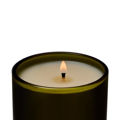 Leather Appointment Scented Candle | Flamingo Estate