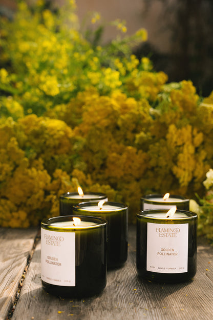 Golden Pollinator Scented Candle | Flamingo Estate