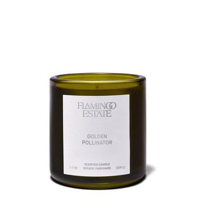Golden Pollinator Scented Candle | Flamingo Estate