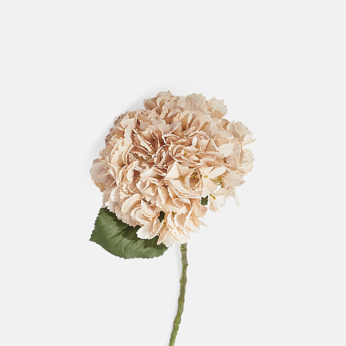 Artificial Hydrangea Vanilla Stem | Abigail Ahearn