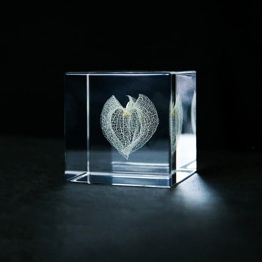 Apple of Peru | Sola Cube