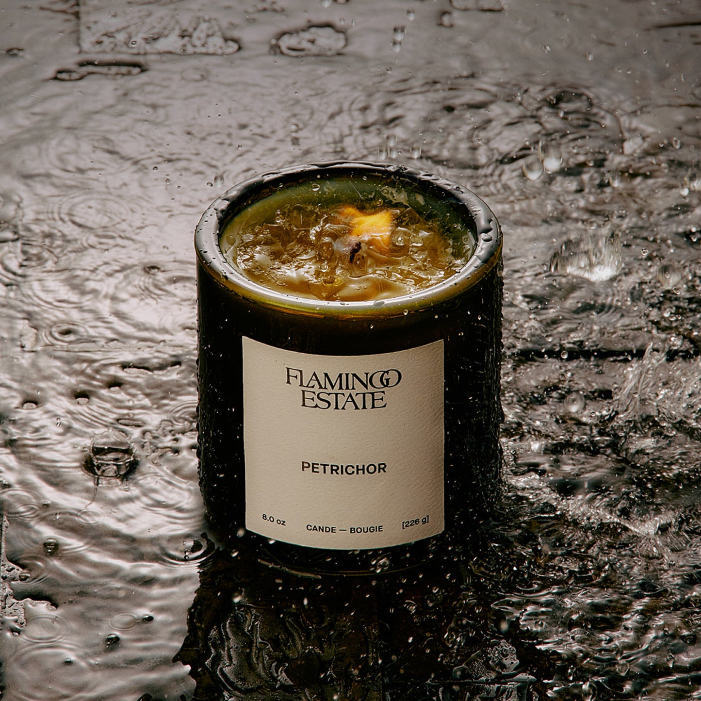Petrichor Scented Candle | Flamingo Estate
