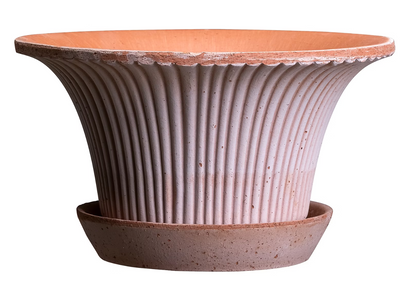 Bergs Potter Daisy Pot