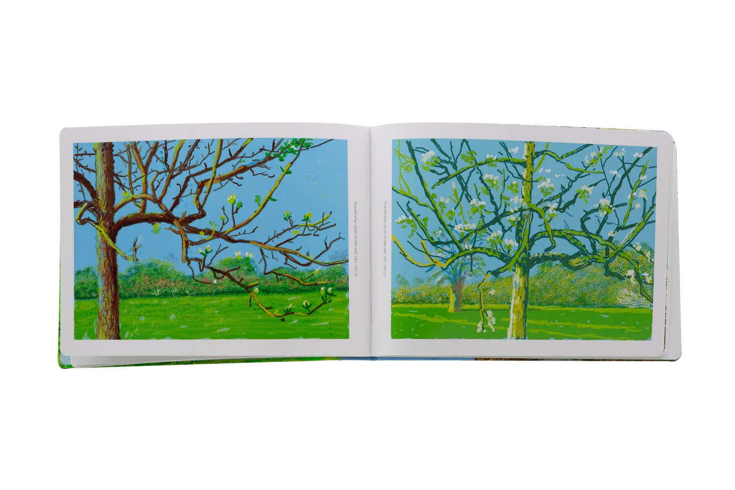 David Hockney: The Arrival of Spring in Normandy, 2020