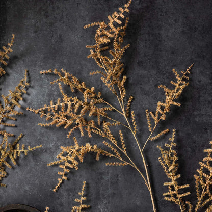 Artificial Asparagus Fern Desert | Abigail Ahearn