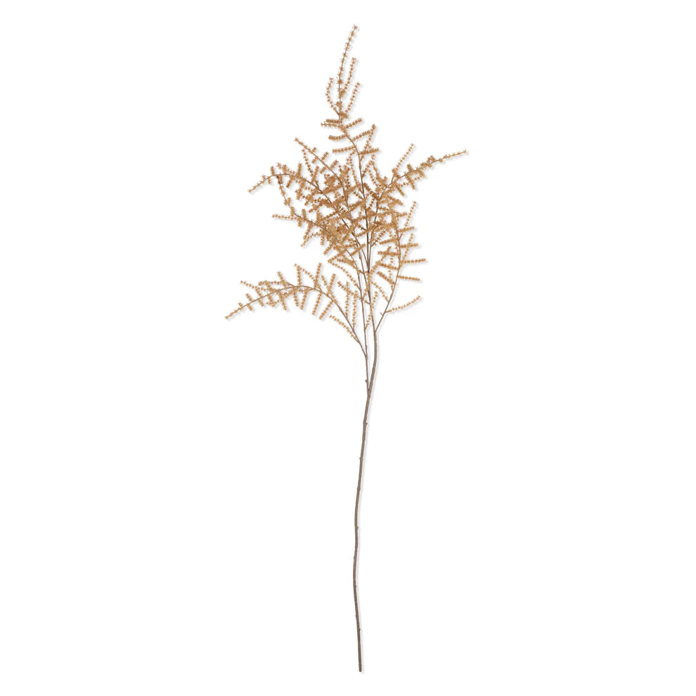 Artificial Asparagus Fern Desert | Abigail Ahearn