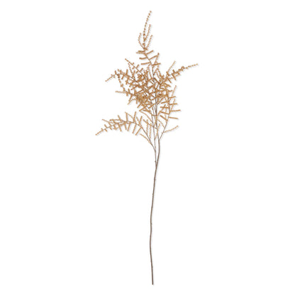 Artificial Asparagus Fern Desert | Abigail Ahearn