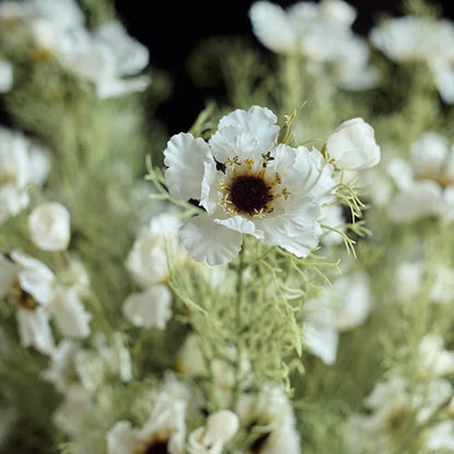 Artificial Cosmos- Cream | Abigail Ahearn