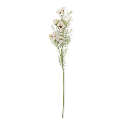 Artificial Cosmos- Cream | Abigail Ahearn