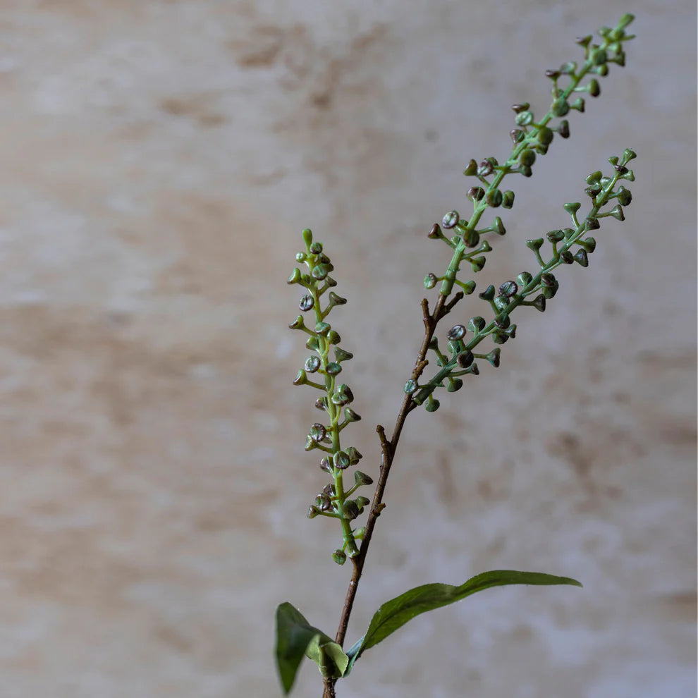 Artificial Myrtle | Abigail Ahearn