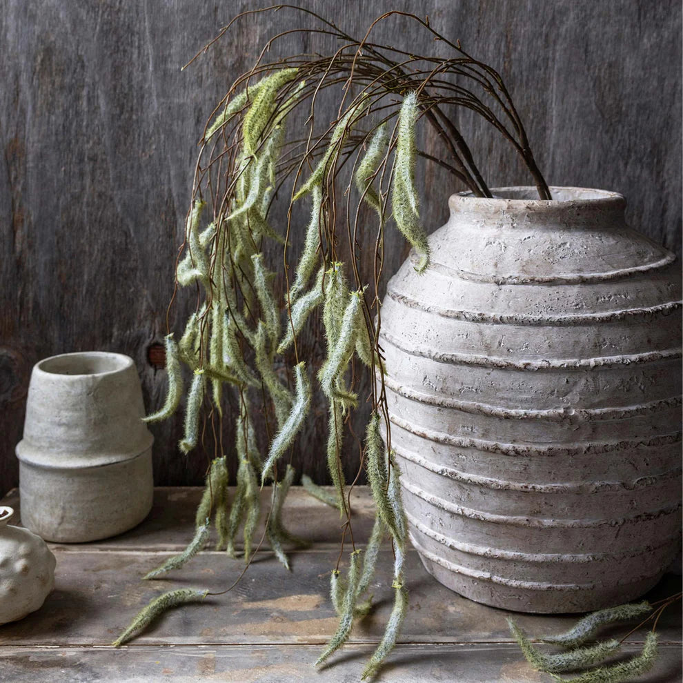 Trailing Catkin | Abagail Ahearn