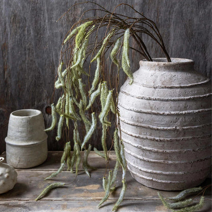 Trailing Catkin | Abagail Ahearn