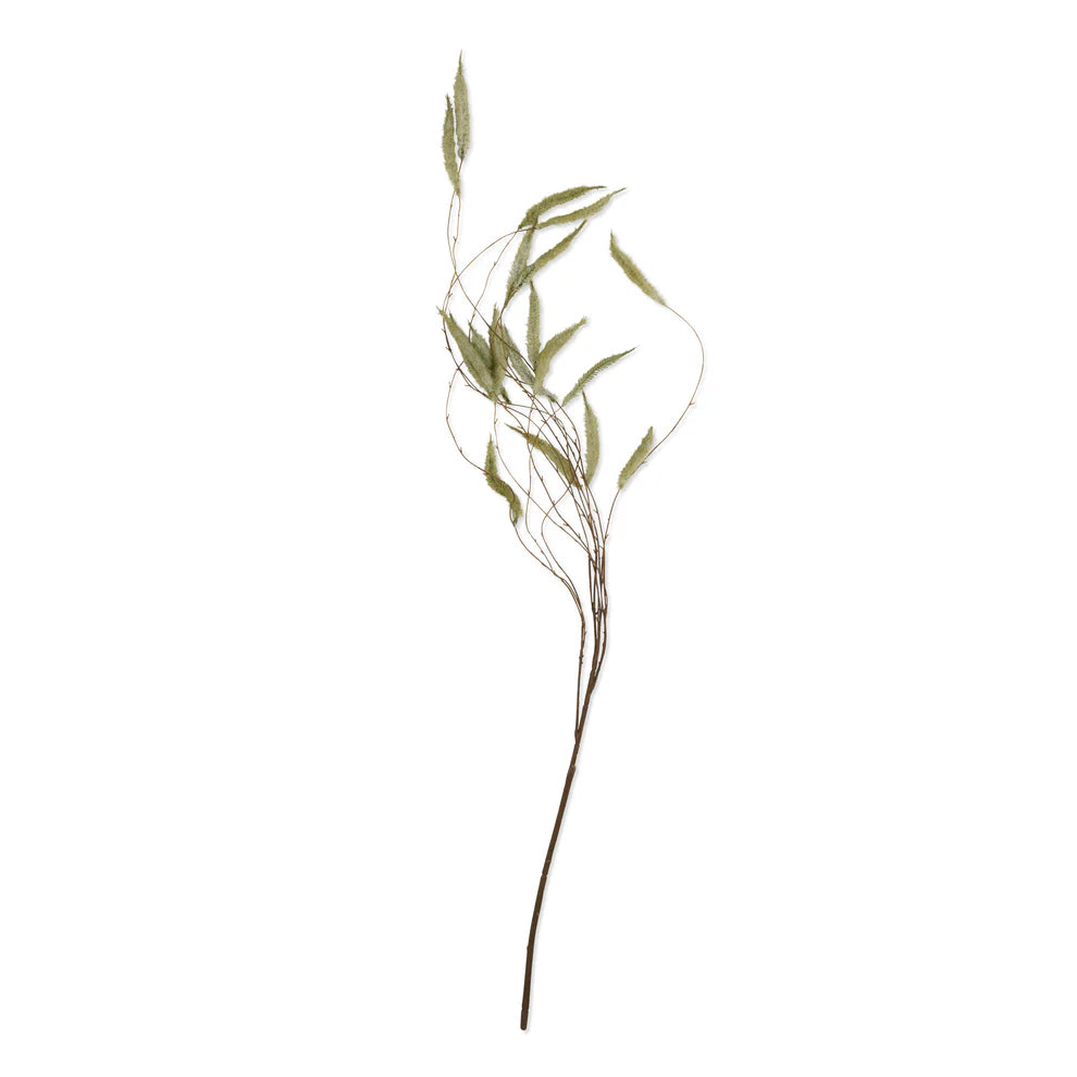 Trailing Catkin | Abagail Ahearn
