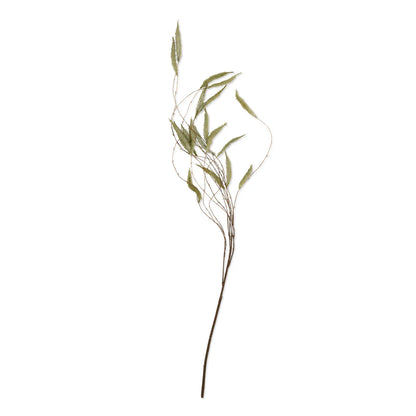 Trailing Catkin | Abagail Ahearn