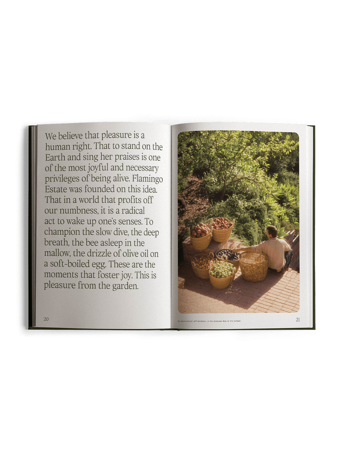 Fridays from the Garden Book | Flamingo Estate