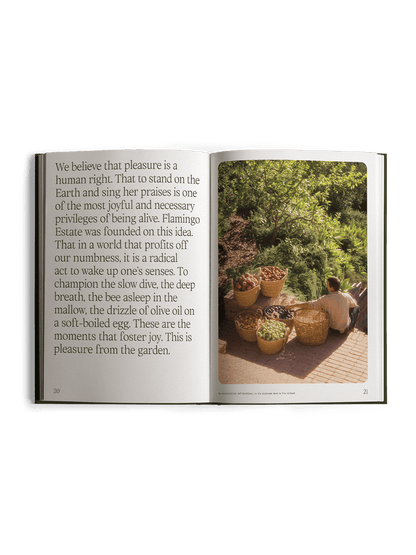 Fridays from the Garden Book | Flamingo Estate