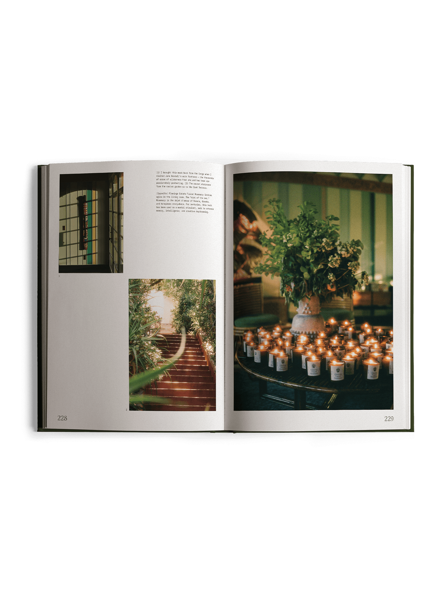 Fridays from the Garden Book | Flamingo Estate