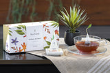 Tea Forte Herbal Retreat Assortment